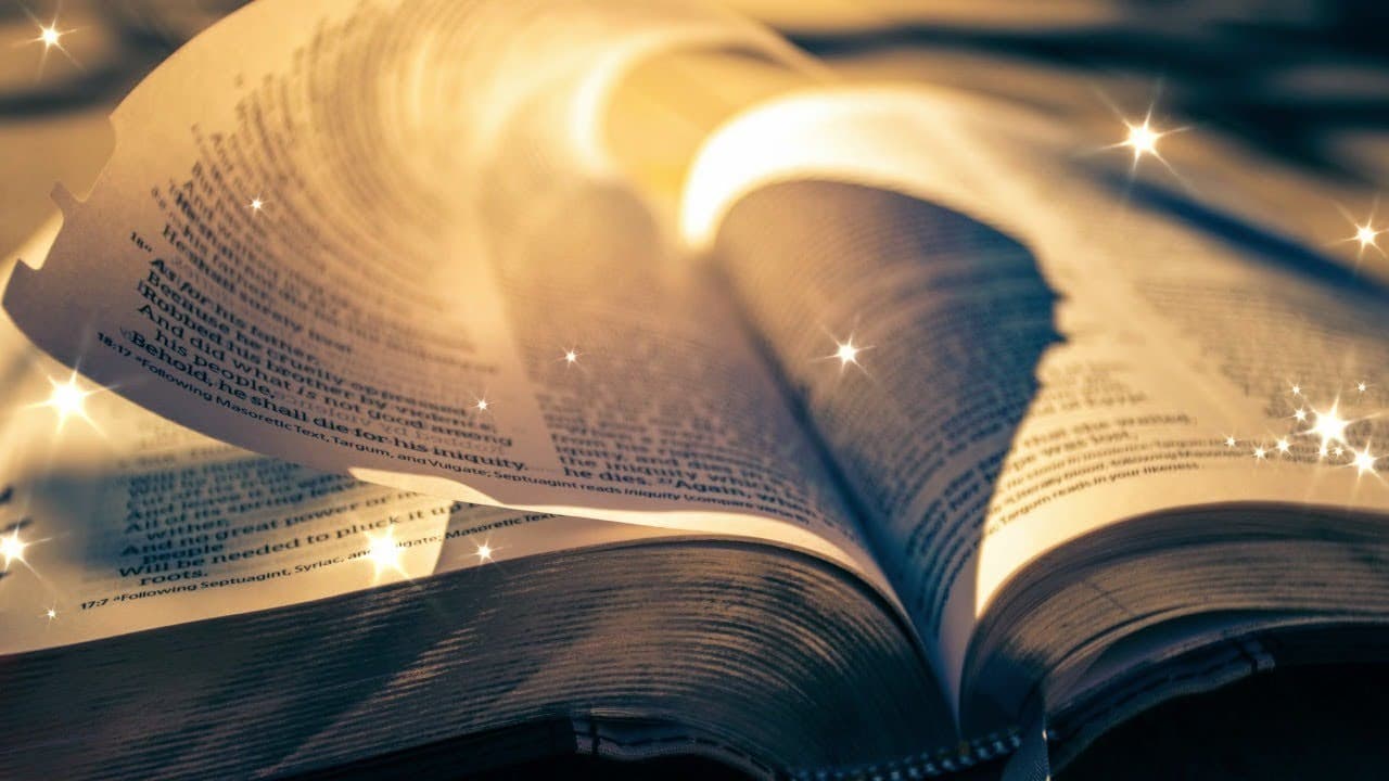 Alexandra Mayers LIVE - The Bible MEV 1 Chronicles 23 reading and commentary