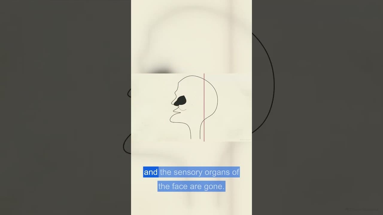 Why the goddess of song holds a skull